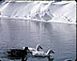 April 1973 Record Snowfall

Ducks swim in pond on what was then my farm west of Dubuque on Budd road.